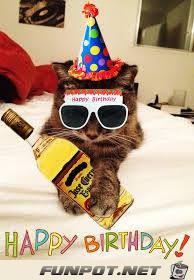 Birthday Birthday