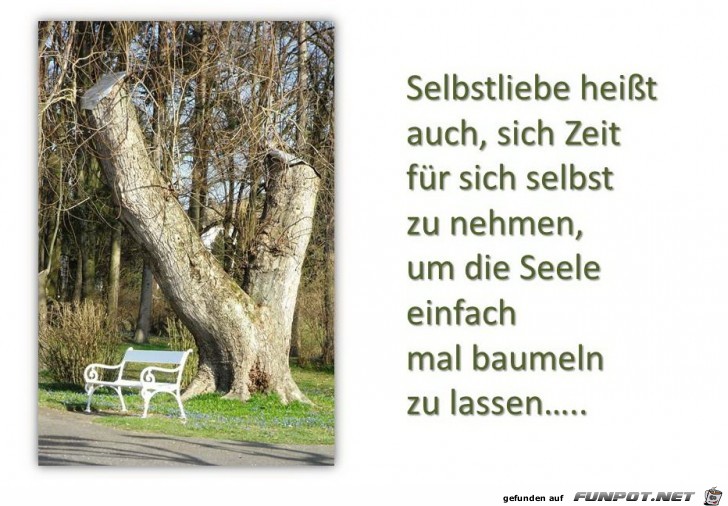 selbstliebe heisst selbstliebe heisst