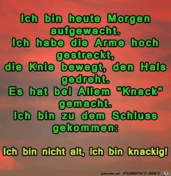 heute Morgen aufgewacht heute Morgen aufgewacht