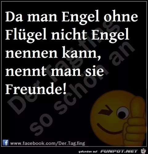 Ohne Fluegel Ohne Fluegel