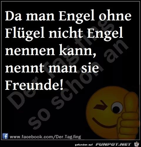 Ohne Fluegel