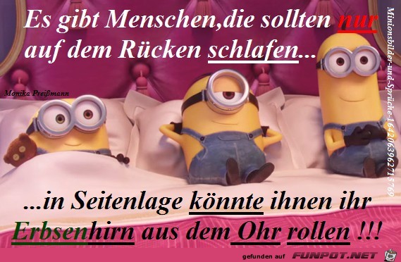 Hirn Hirn
