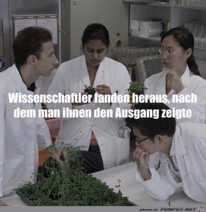 Wissenschaftler Wissenschaftler
