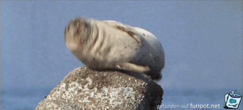 gif De Hik gif De Hik