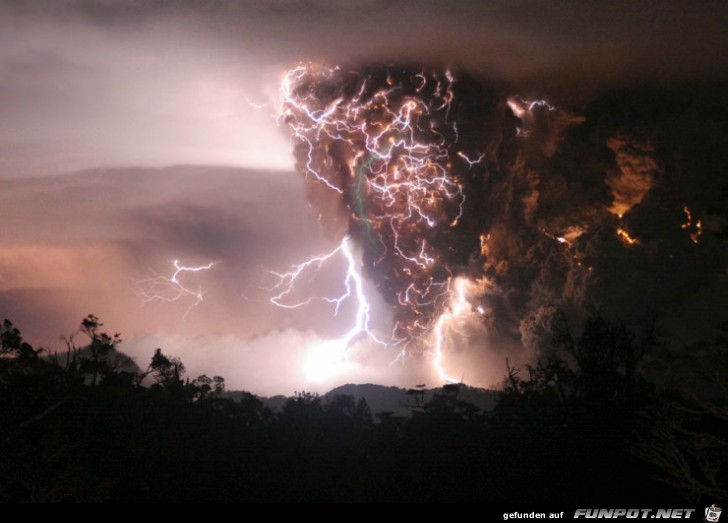 Wunder der Natur 29 Wunder der Natur 29