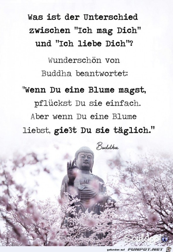 was ist der Unterschied was ist der Unterschied