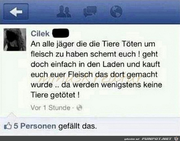 Fleisch Fleisch