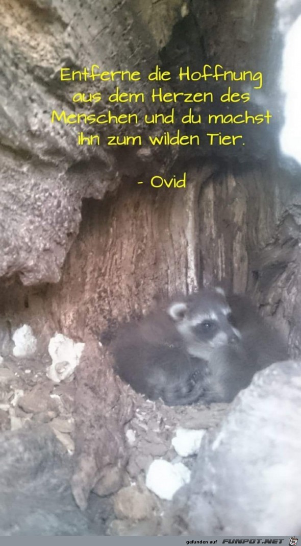 entferne die Hoffnung entferne die Hoffnung