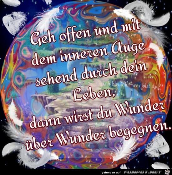 Wunder ueber Wunder