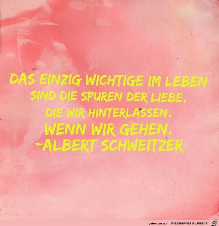 spuren spuren