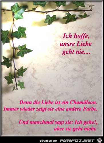 liebe-vers11