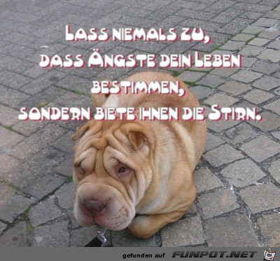 Angst Angst