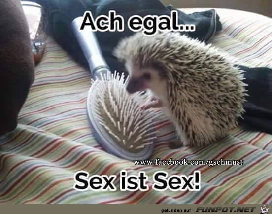 Ach egal Ach egal