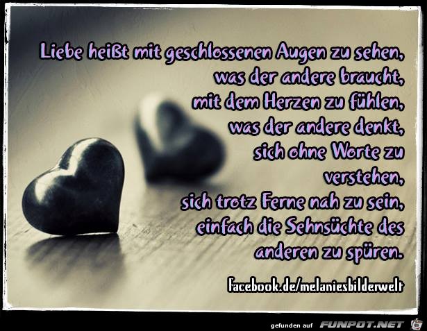 Liebe Heisst