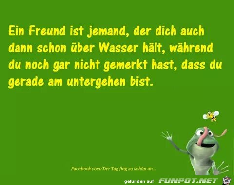 Freund5