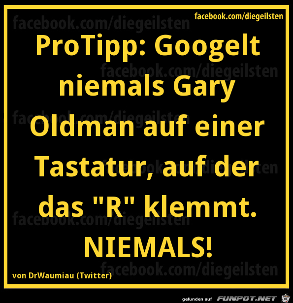 diegeilsten Gary Oldman