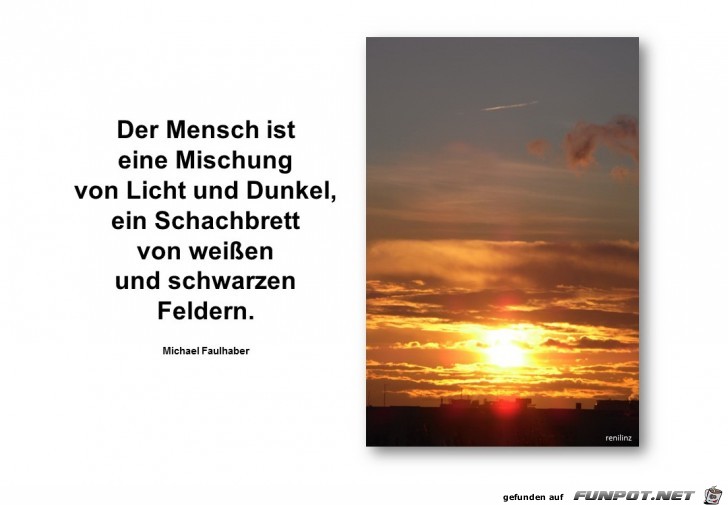 Der Mensch ist