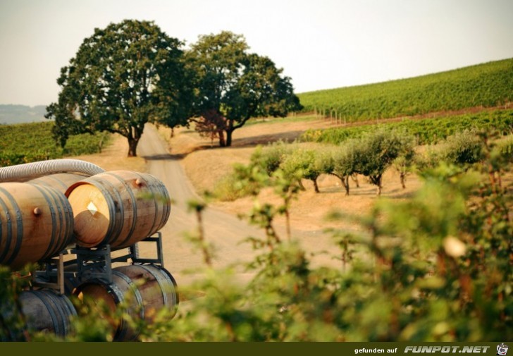 Die schnsten Wein-Gegenden der Welt!