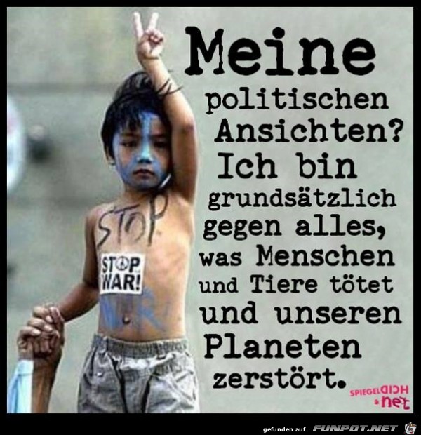 meine politischen Ansichten meine politischen Ansichten