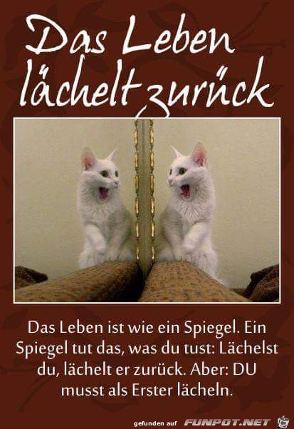 10 schne Sprche und Lebensweisheiten aus...