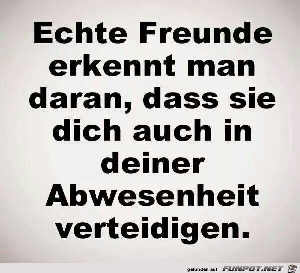 echte Freunde echte Freunde