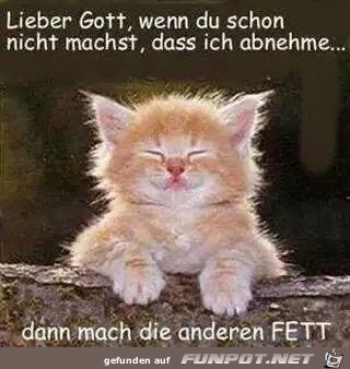 fett fett