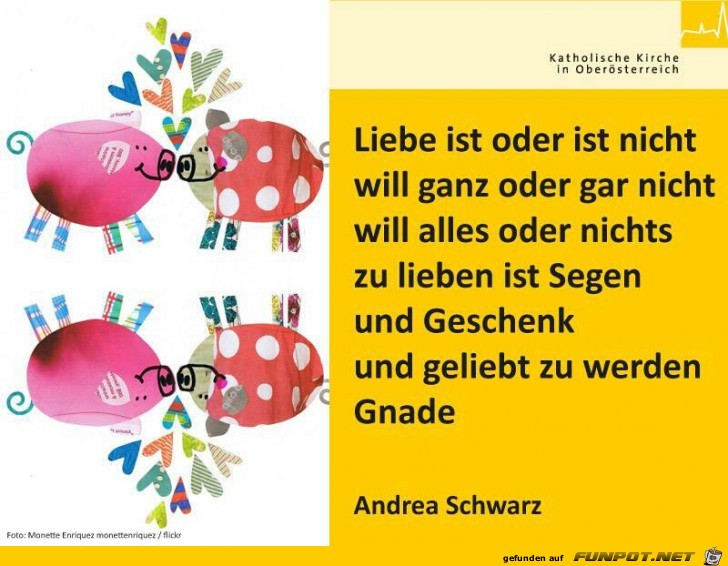 liebe ist liebe ist