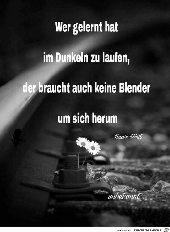 wer gelernt hat wer gelernt hat
