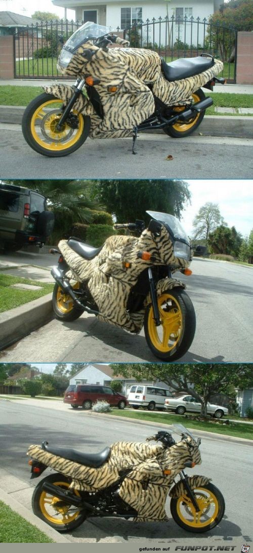 Leopard Bike