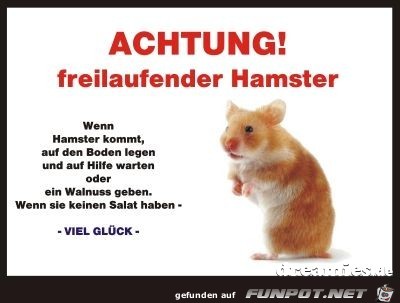 Achtung - freilaufender Hamster Achtung - freilaufender Hamster