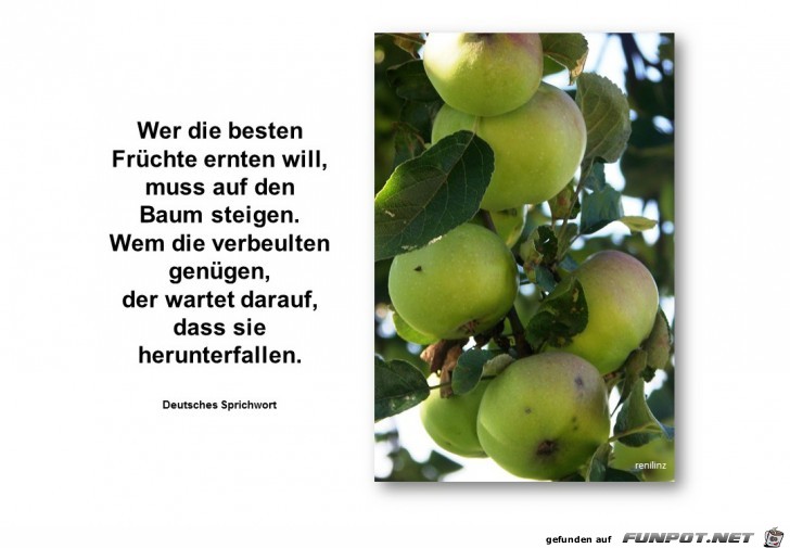 Wer die besten Fruechte