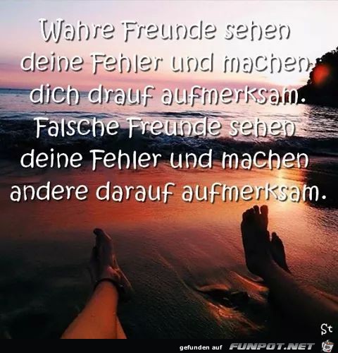 Wahre Freunde