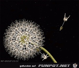 Das sind keine Blumen, sondern Menschen. Einfach genial!