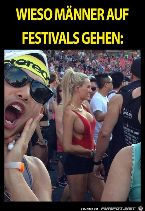 Festival Festival