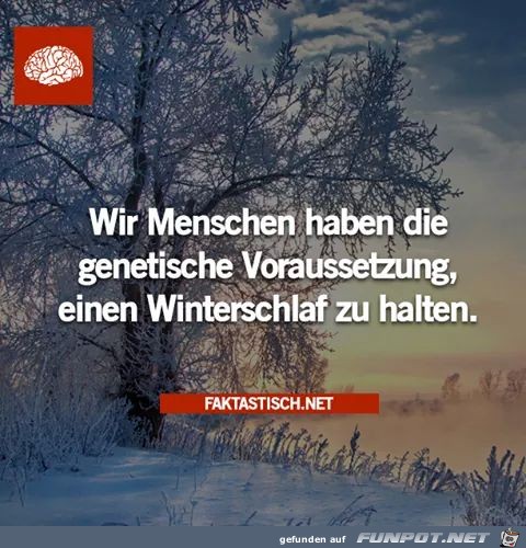 winterschlaf