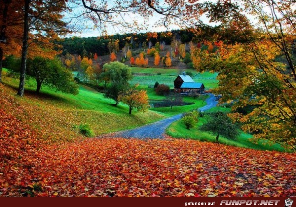 Wunderschne Herbst-Impressionen!