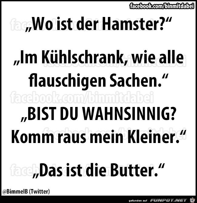 Hamster Hamster
