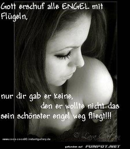 Gott erschuf alle Gott erschuf alle
