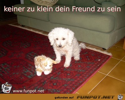 keiner zu klein dein Freund zu sein keiner zu klein dein Freund zu sein