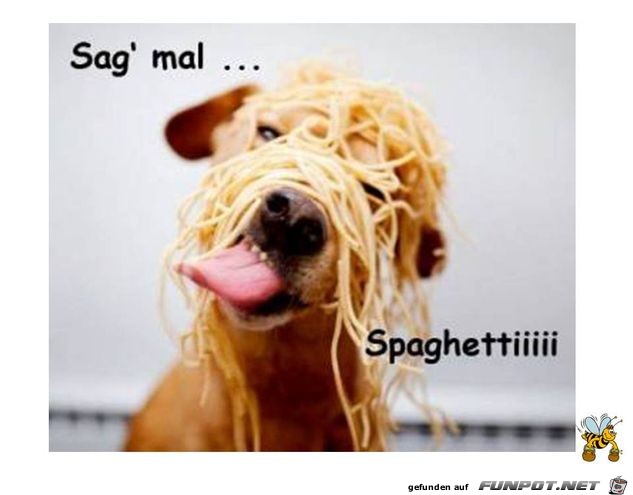 Spaghetti