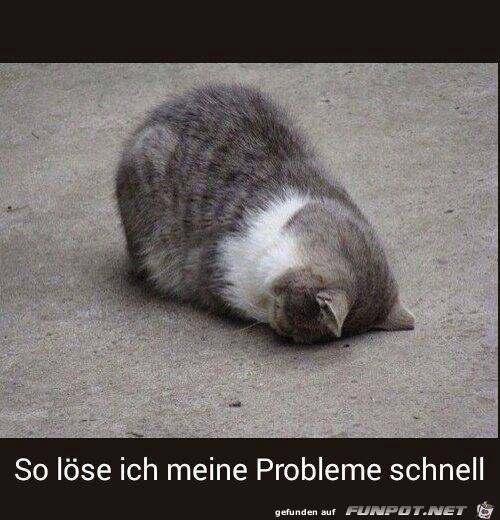 Probleme Probleme