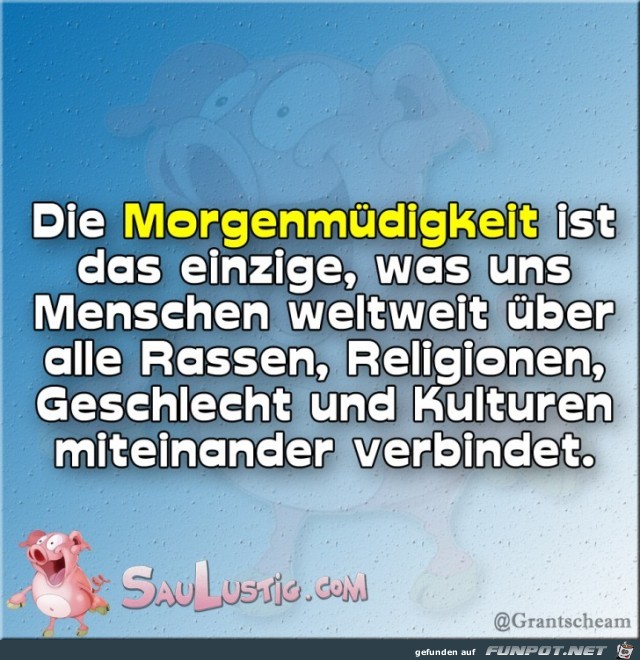 Die-Morgenmuedigkeit Die-Morgenmuedigkeit