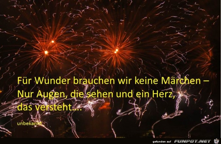 fuer Wunder fuer Wunder