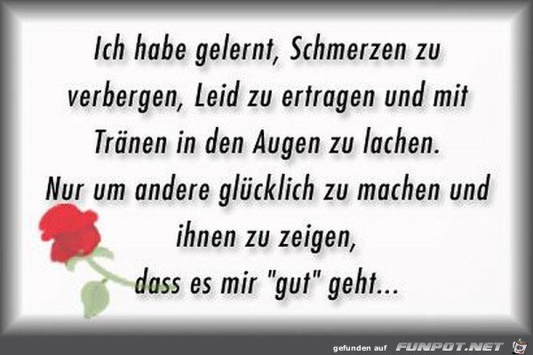 ich habe gelernt ich habe gelernt