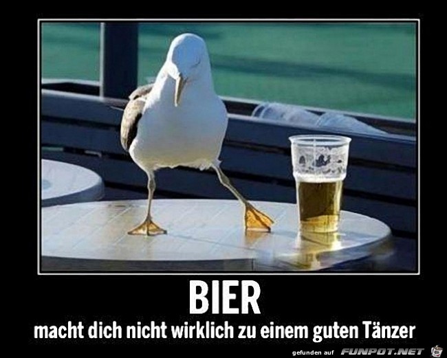 Bier Bier