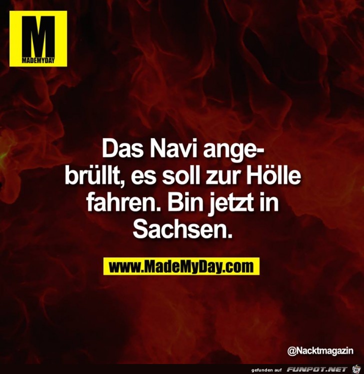 Navi angebrüllt Navi angebrüllt