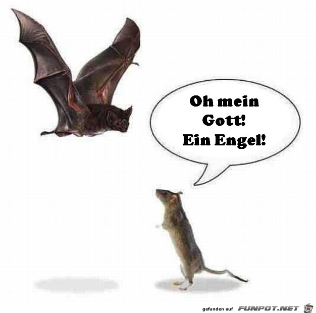 Ein Engel