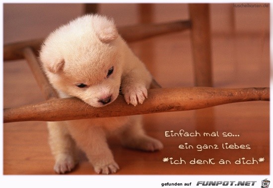 einfach mal so einfach mal so