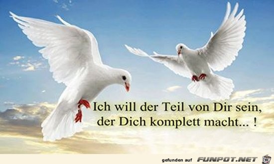 ich will der Teil von dir sein ich will der Teil von dir sein