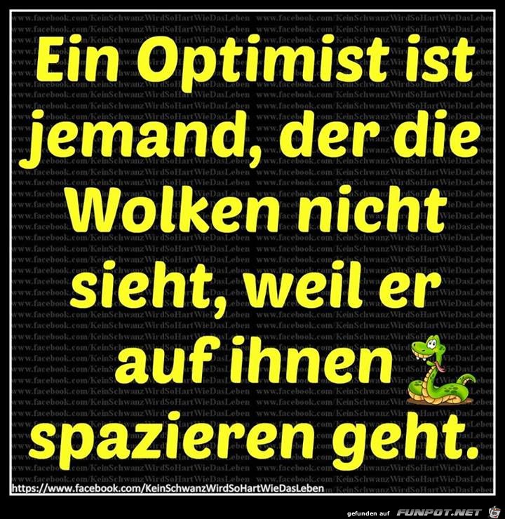 Optimist Optimist